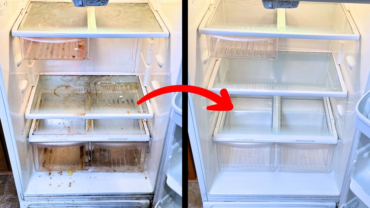 Fridge deep cleaning in Gurgaon — food-safe degrease of refrigerator shelves and gaskets